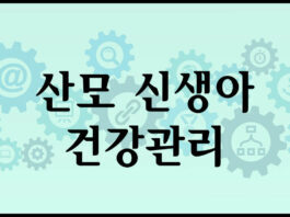 출산가정 건강관리사 파견