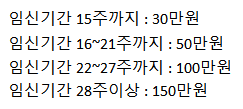 임신기간에 따른 급여 알아보기