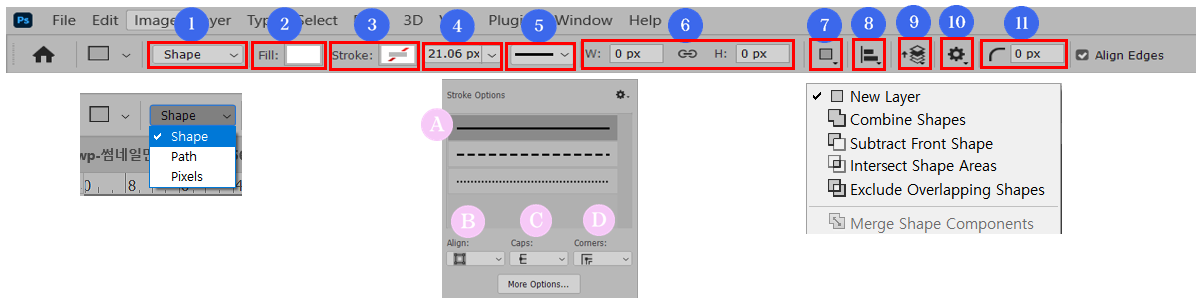Shape Tool 옵션 알아보기