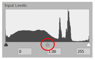 Input Level 조정하기