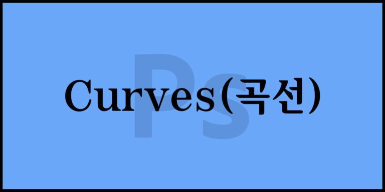 Curves(곡선)