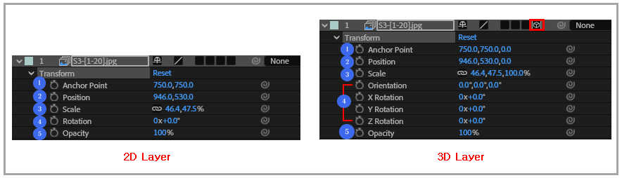 After Effects Transform 조작하기- Transform 조작하기